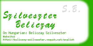 szilveszter beliczay business card